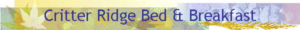 Critter Ridge Bed & Breakfast